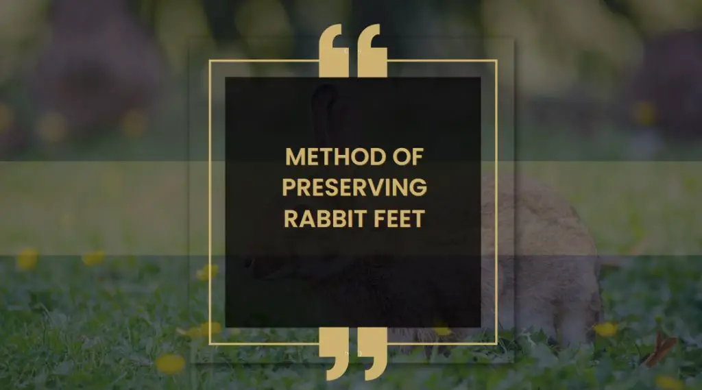 Method of Preserving Rabbit Feet