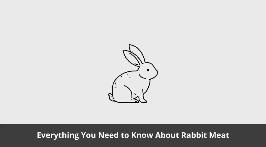 Rabbit meet