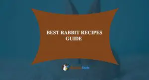 Best Rabbit Recipes