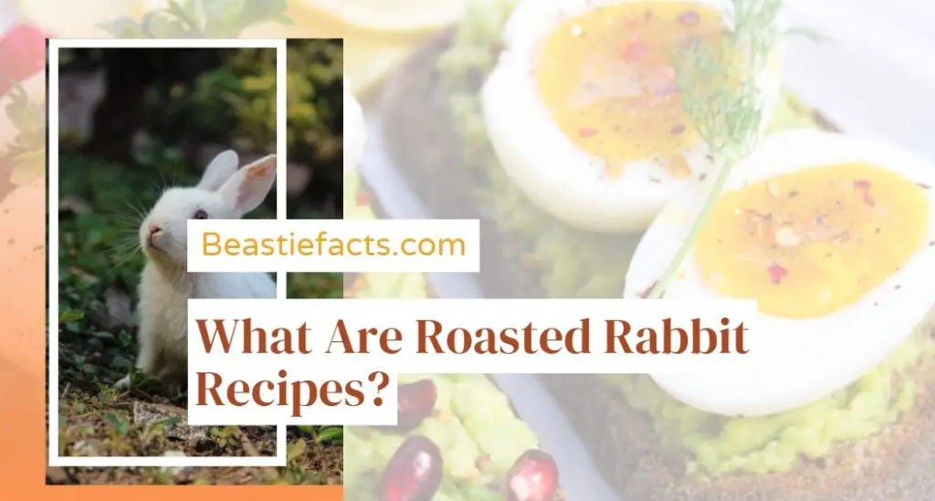 what Are Roasted Rabbit Recipes?