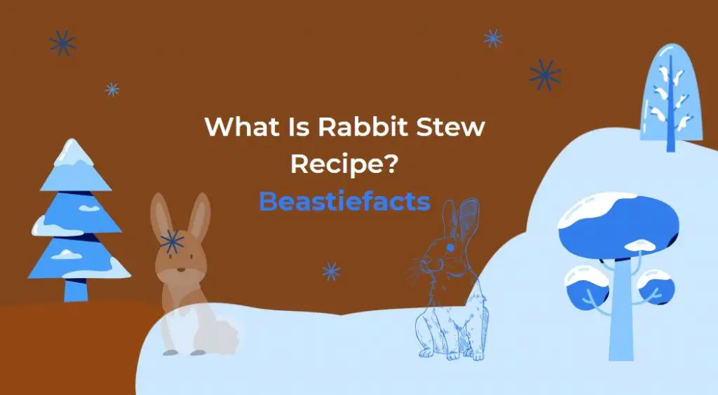 What Is Rabbit Stew Recipe Like?