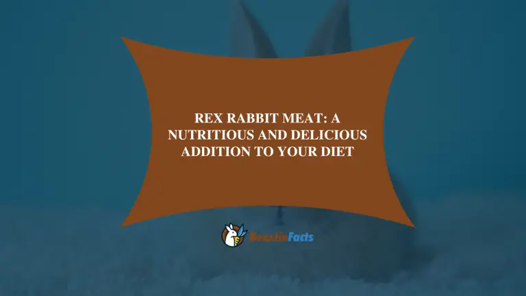 Rex Rabbit Meat: A Nutritious and Delicious Addition to Your Diet